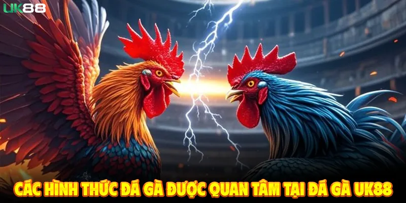 Các Trường Đấu Trực Tuyến Được Chú Ý Nhất