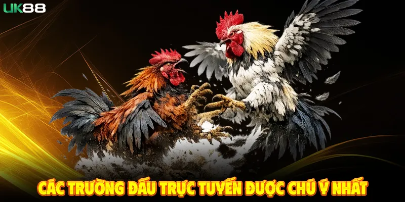 Các Trường Đấu Trực Tuyến Được Chú Ý Nhất