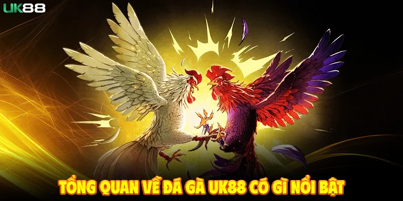 Tổng Quan Về Đá Gà UK88 Có Gì Nổi Bật